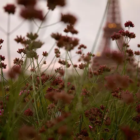 Highstay - Luxury Serviced - Eiffel * Parigi